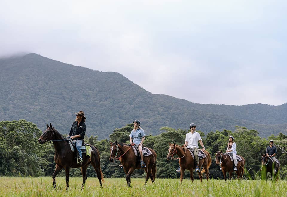 Cape Trib Horse Rides