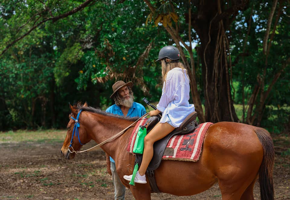 Cape Trib Horse Rides