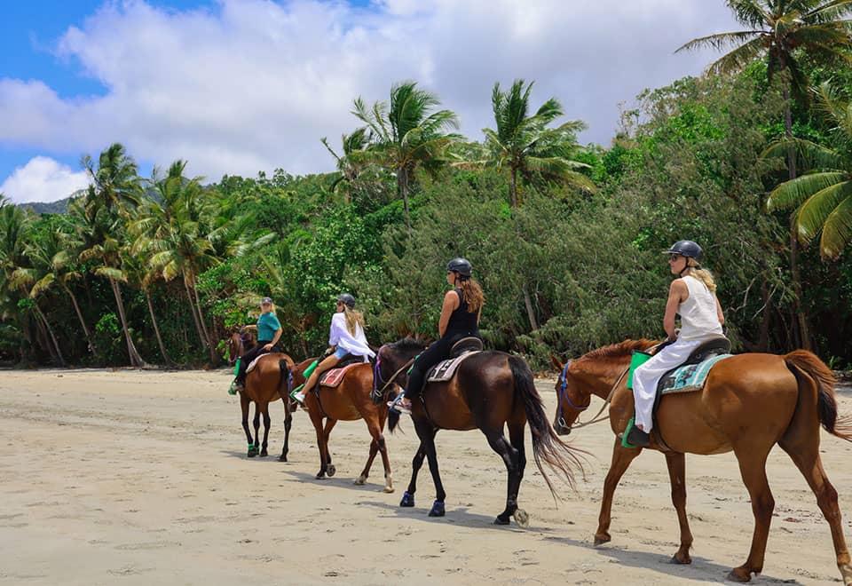 Cape Trib Horse Rides