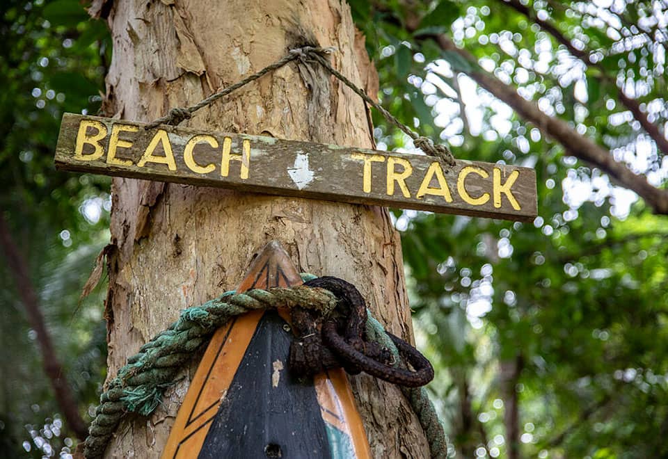 Cape Tribulation Camping